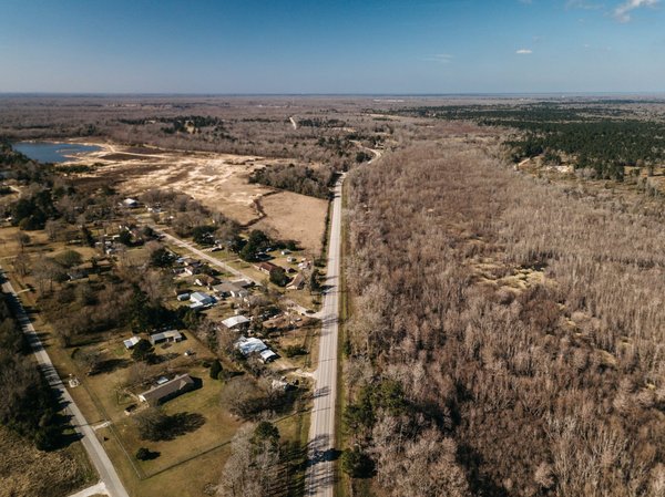 Comment cultiver des plantes médicinales endémiques de la forêt amazonienne pour la recherche scientifique ?